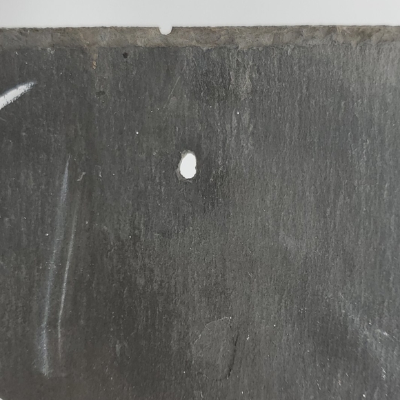 HAND PAINTED Pumpkin "Thankful" Design on Slate - Picture 7 of 10